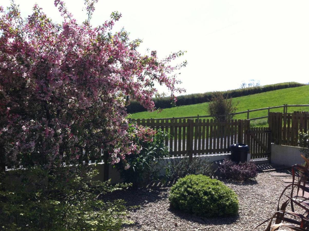 Ashton Cottages Cheddar Exterior foto